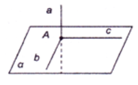 Новый рисунок (14)
